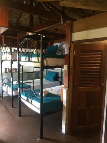 Bed in 4-Bed Female Dormitory Room