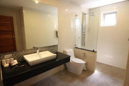 Deluxe Two-Bedroom Apartment