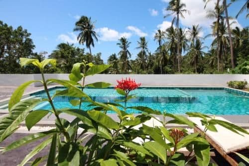 Studio with Pool View