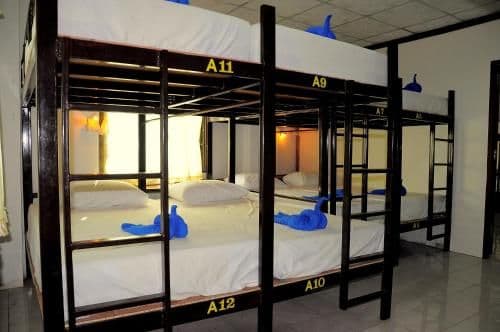 Bunk Bed in Female Dormitory Room