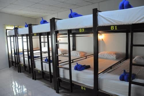 Bunk Bed in Female Dormitory Room