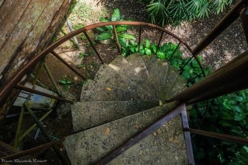 Tree House Garden View With Fan