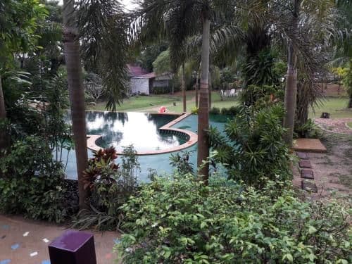 Bungalow with Pool View