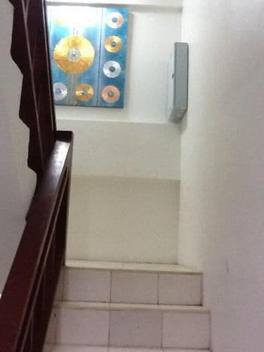 Bunk Bed in Mixed Dormitory Room with Fan