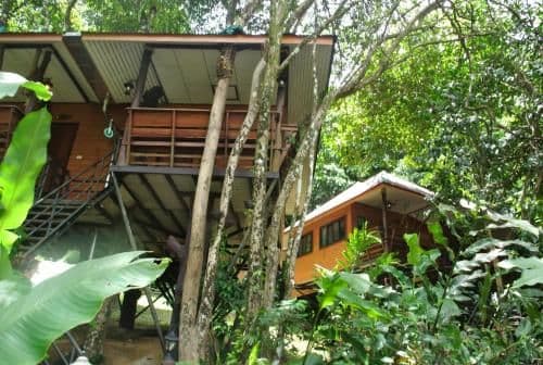 Tree House Triple Room