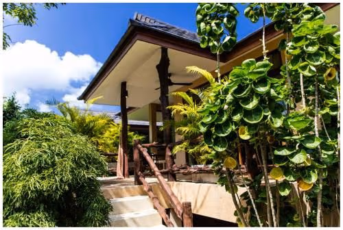 Chalet