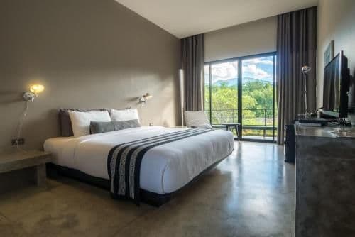Deluxe Double or Twin Room