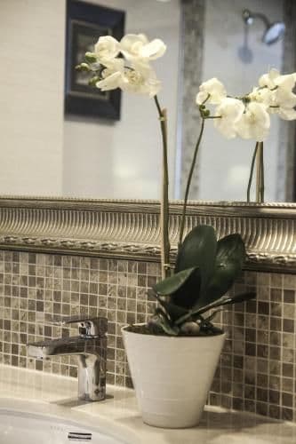Suite with Bath