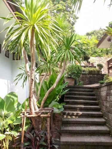 Superior Villa with Garden View