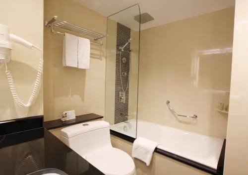 Deluxe King Room with City View