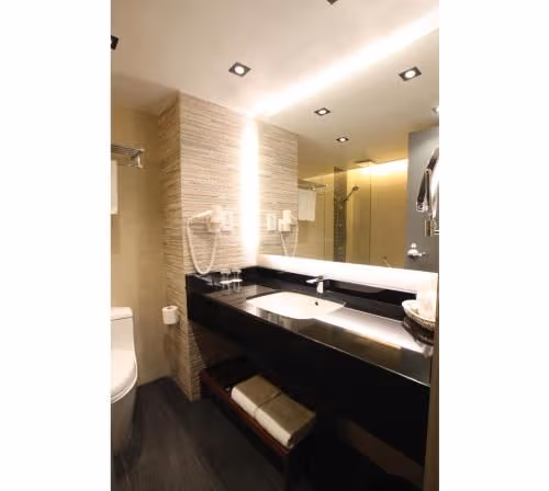 Deluxe King Room with City View