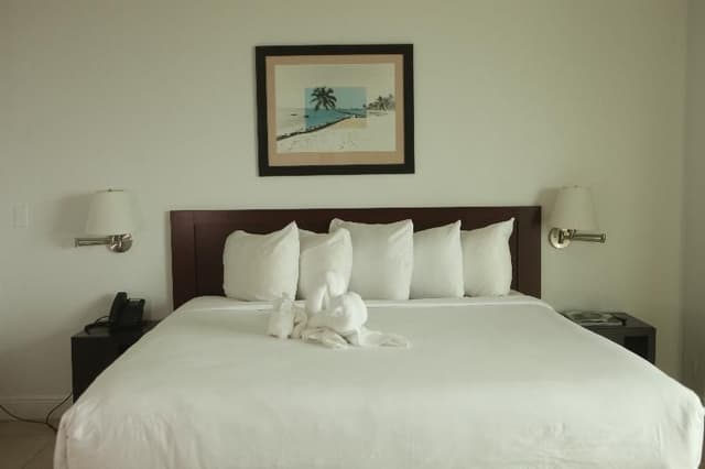 DOUBLE CITY VIEW QUEEN BED