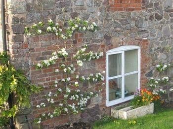 Caro's B & B Caro's B & B
