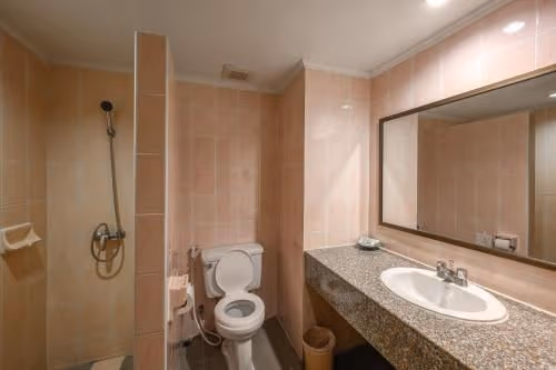 Premium Double or Twin Room