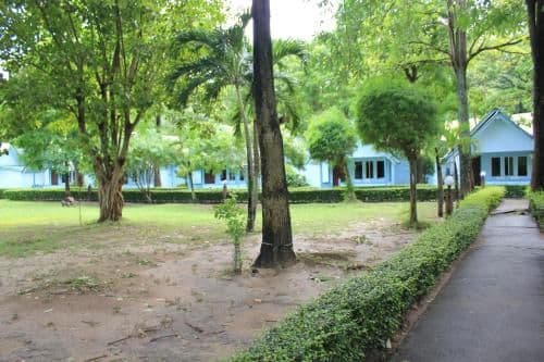 Deluxe Bungalow
