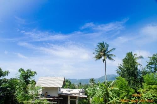 Studio with Garden View