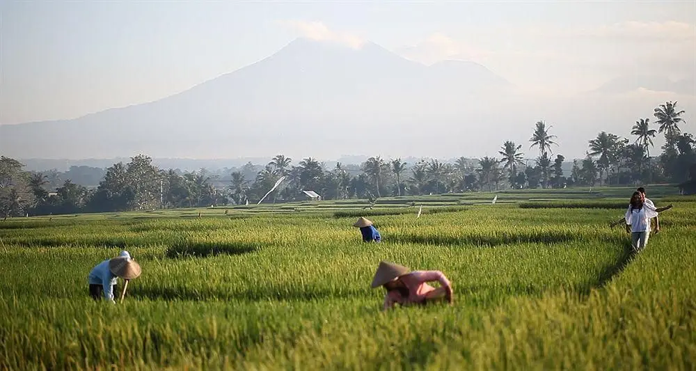 Alila Soori