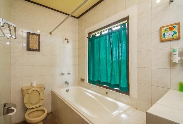 Double or Twin DELUXE GARDEN VIEW