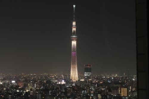 Premium Twin Room with Sky Tree View - Non-Smoking
