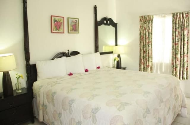 Room OCEAN VIEW ONE BEDROOM