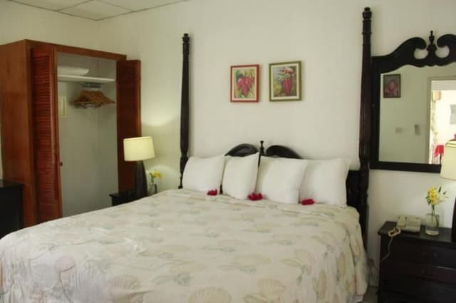 Room OCEAN VIEW ONE BEDROOM