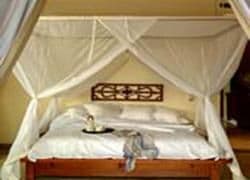 Gayatri Villa Gayatri Villa