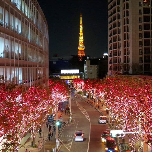 โรงแรมเอเซีย เซ็นเตอร์ ออฟ เจแปน