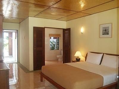 D Coconut Lagoon