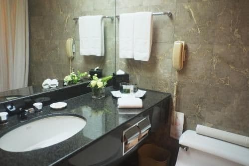 Standard Queen or Twin Room
