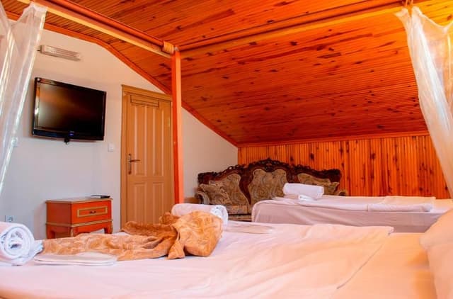 FAMILY ROOM DELUXE
