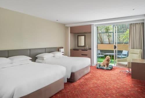 Courtyard Double Room, Guest room, 2 Double, Courtyard view