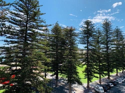 Large Two-Bedroom Apartment with Sea View