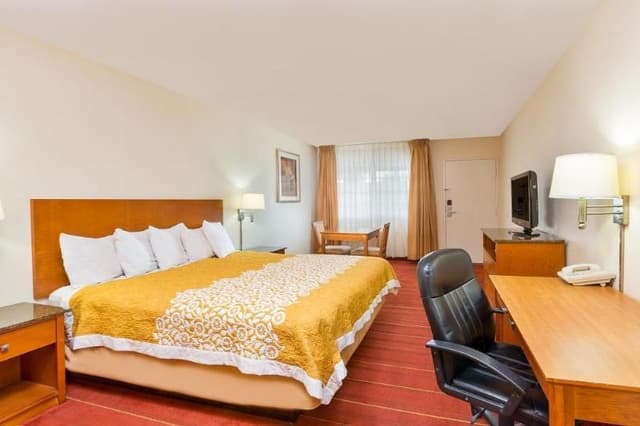 SINGLE KING SIZE BED