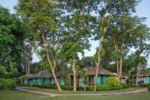 Deluxe Cottage Double or Twin Room