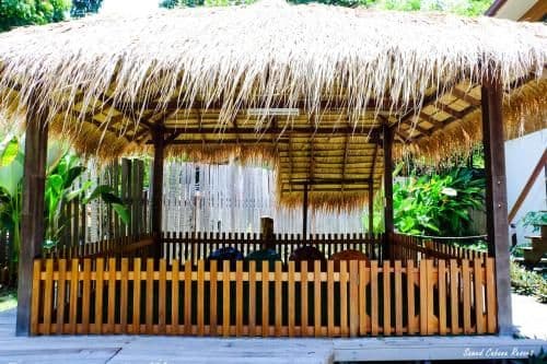 Pool Side Room