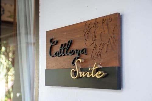 Suite - Cattleya