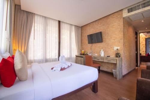 Suite - Cattleya