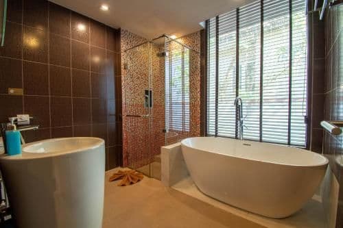 Suite - Cattleya