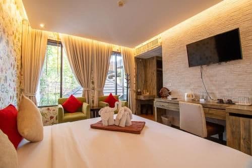 Suite - Cattleya