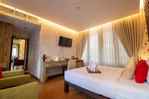 Suite - Cattleya