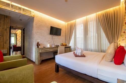 Suite - Cattleya