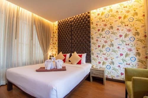Suite - Cattleya