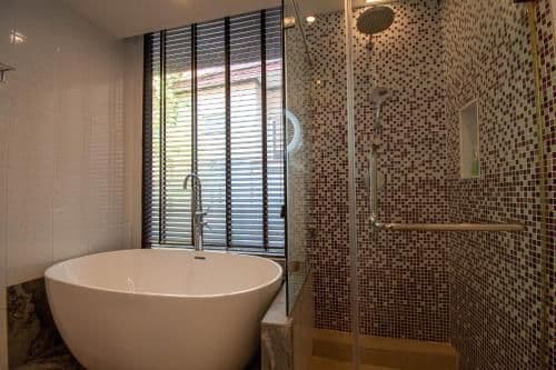 Suite - Cattleya