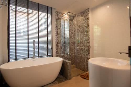 Suite - Cattleya