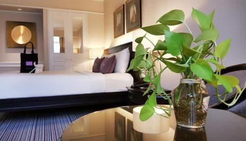 Premier Sustainability Room