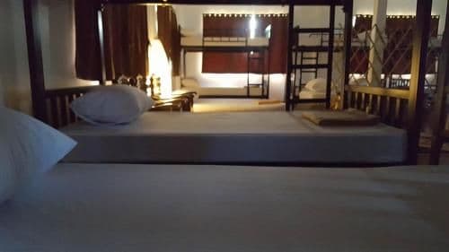 Bunk Bed in Mixed Dormitory Room