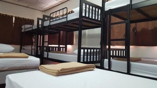 Bunk Bed in Mixed Dormitory Room