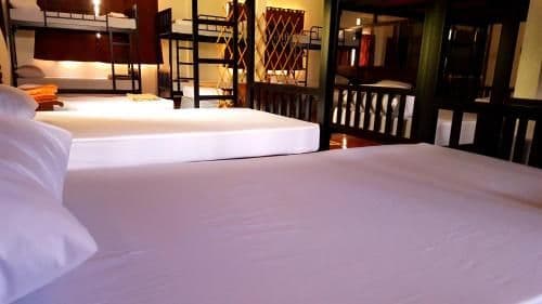 Bunk Bed in Mixed Dormitory Room
