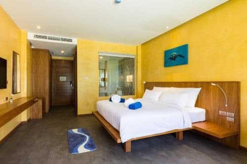 Deluxe Double or Twin Room