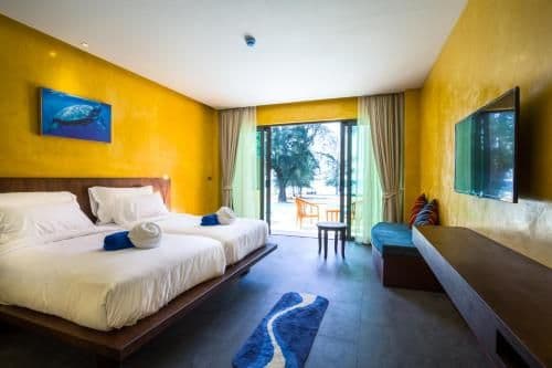 Deluxe Double or Twin Room with Pool Access